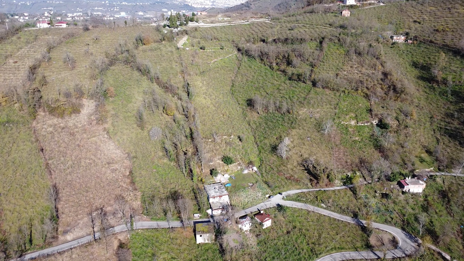 BAYADI FINDIK BAHÇESİ KAZIM AKKIRAN